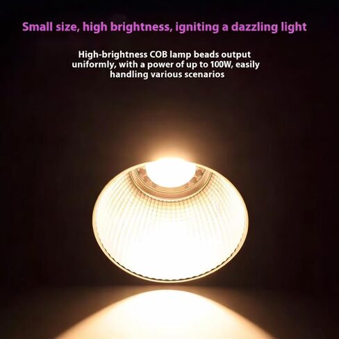 100W Pro RGB Portable LED Photography Light, 18600mAh Built-in Battery, 20 Effects 3200-6500K Adjustable Color Temperature COB Continuous Output Lighting, Handheld Spotlight w Carrying Case in Kuwait