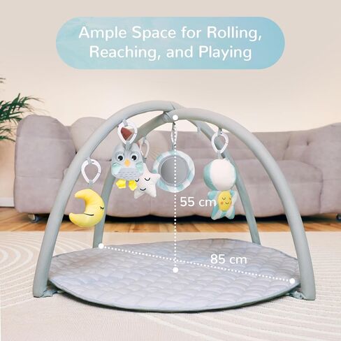 Solens Baby Play Gym Mat with 5 Detachable Sensory Toys, Tummy Time Activity Mat for Sensory & Motor Skill Development, Infant Activity Gym, Newborn Baby Shower Gift, Dusky Blue in Kuwait