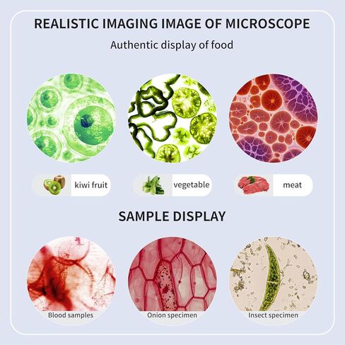 Trinocular Microscope 40x-2000x Magnification Double-Layer Stage with LED Lights on top and Bottom, Thick and Thin Dual Focusing knobs, Professional Biological Microscope (WiFi Electronic Eyepiece) in Saudi Arabia