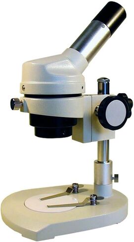 AmScope Excellent Dissecting Microscope 20x-50x | 20X-50X Magnification Range in Kuwait