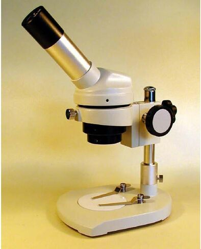 AmScope Excellent Dissecting Microscope 20x-50x | 20X-50X Magnification Range in Kuwait