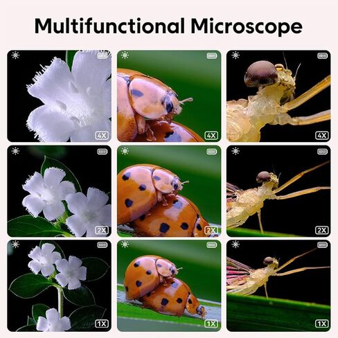 100x‑500x Pocket Microscope for Kids with LCD Screen, 8 LED Lights, USB Connect to PC, HD Photo & Video, 2MP Camera, 500x Magnification (Purple) in Kuwait