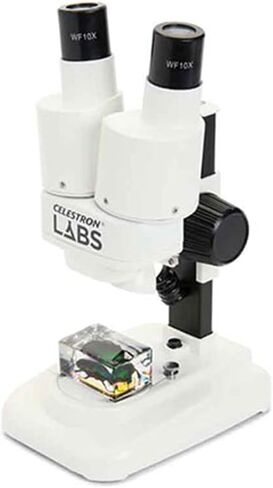 Celestron Labs S20 Straight Stereo Binocular Microscope for Large Specimen | 20x Magnification, Straight Binocular Viewing, Top & Bottom LED Illumination, Three-Dimensional Views, Wide Working Distance in Kuwait