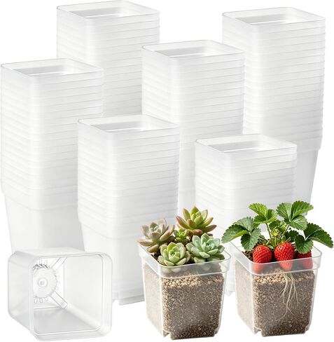 240 Pcs 3" Black Square Nursery Pots, Seed Starter with Drainage Holes | Plastic Square Plant Pots For Seedlings, Herbs, Flowers. Indoor Outdoor Seed Starting Containers in Kuwait
