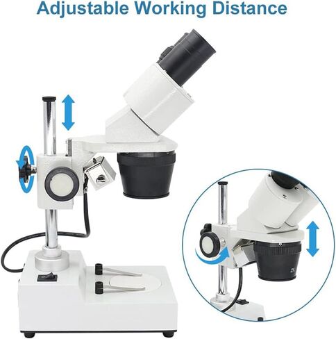 Binocular Stereo Microscope Industrial Stereo Microscope Top LED Illumination Mobile Phone PCB Soldering Repair Tool (Color : White Size : 20X) (White 20X 30X 40X) in Kuwait