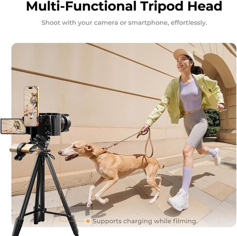 K&F CONCEPT Lightweight Camera Tripod for Phone | 16.7" (42.5cm) Folded, Quick Release Plate, Phone Holder & Strap, Max 62.2" (158cm) Height, 3kg Load, S205A1 in Kuwait