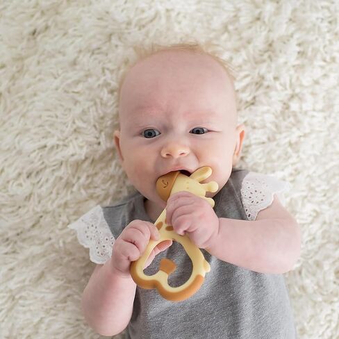 Dr. Brown's Ridgees Giraffe, Massaging Baby Teether, Designed by a Pediatric Dentist, BPA Free, 3m+ (Pack of 2) in Kuwait