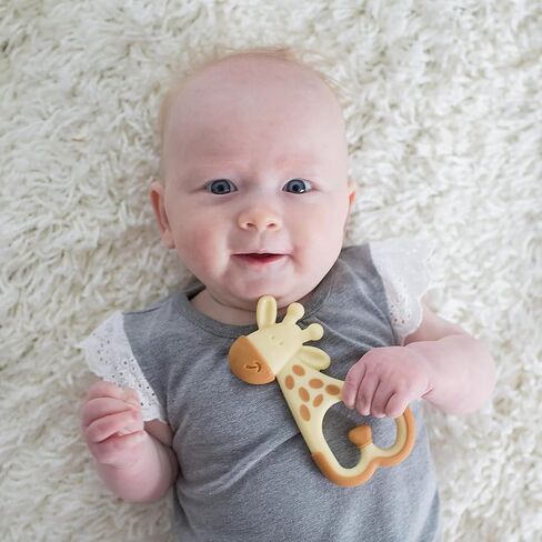 Dr. Brown's Ridgees Giraffe, Massaging Baby Teether, Designed by a Pediatric Dentist, BPA Free, 3m+ (Pack of 2) in Kuwait
