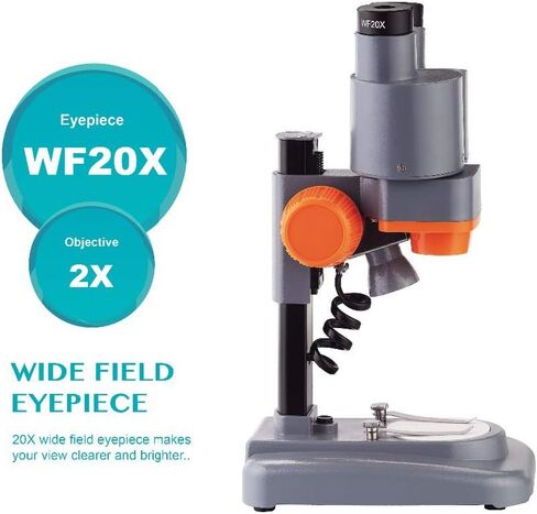 20X 40X Stereo Microscope with Eyepiece Led Light PCB Solder Mineral Specimen Silde Watching Phone Pepair Tool HD Vision (Color : 20X and 40X) (20X and 40X) in Kuwait