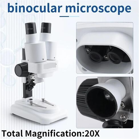 Lab Microscope, 20X Stereo Microscope Binocular with LED for PCB Soldering Tool Mobile Phone Repair Slides Mineral Watching Microsc for Labs & Medicine in Kuwait
