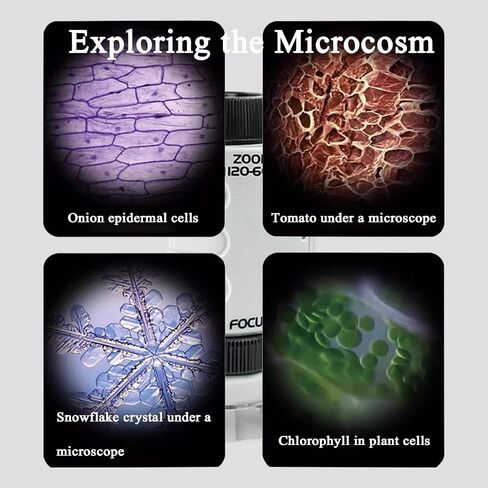 New Mini Portable Microscope Handheld,60x–120x Magnification,Includes 12 Pre-Prepared Biological Slides and LED Light,Ideal for Science Experiments,Classroom Learning,and Nature Observation (White) in Kuwait