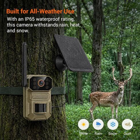 Cellular Solar Trail Camera with Night Vision, 0.1s Motion Activated, IP66 Waterproof, 1080P Outdoor Security Camera for Backyard, No WiFi Needed, SIM Card & Cloud Storage Included in Kuwait