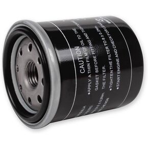 Scooter Oil Filter - Buddy 150, Buddy 125, Blur 150, ET4, LX 150, GT200