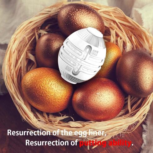 Birdle79 Golf Club Bag Accessory-Egg Liner- Golf Ball Holder-Attaches to Golf Club Bag - Create Your Lines Anytime -Reduces Putting Strokes by 3 - Premium Gift Box+ 1ea Golf Ball+3ea Marker in Saudi Arabia