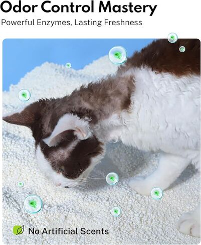 HomeRunPet All Natural Cassava Cat Litter, 10 lbs - Sustainably Powered Odor Control, 99.9% Dust Free Litter, Instant Clumping, Low Tracking for Cleaner Litter Box and Better Cat Health in Kuwait