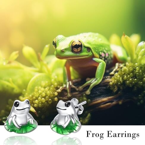 Dreamboat Frog Stud Earrings for Women Teen Girls 925 Sterling Silver Frogs Jewelry Gifts for Wife Daughter in Saudi Arabia