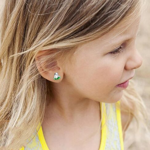 Dreamboat Frog Stud Earrings for Women Teen Girls 925 Sterling Silver Frogs Jewelry Gifts for Wife Daughter in Saudi Arabia