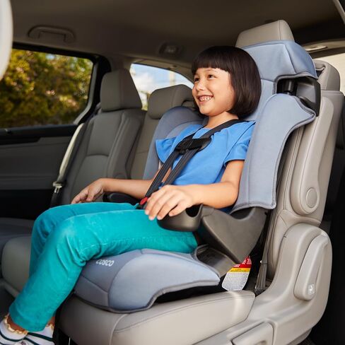 Cosco Kids Finale DX 2-in-1 Booster Car Seat, Forward Facing Toddler Car Seat (40-65 lbs) and Belt Positioning High Back Booster (40-100 lbs), Dusk in Kuwait