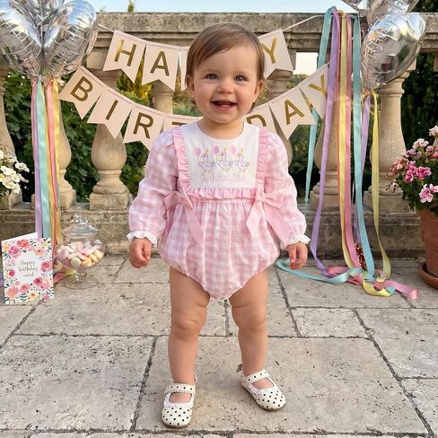Baby Girl 1st Birthday Clothes Cake Smash Outfits One Year Old Silly Goose Romper Birthday Girl Bodysuit for Fall in Kuwait