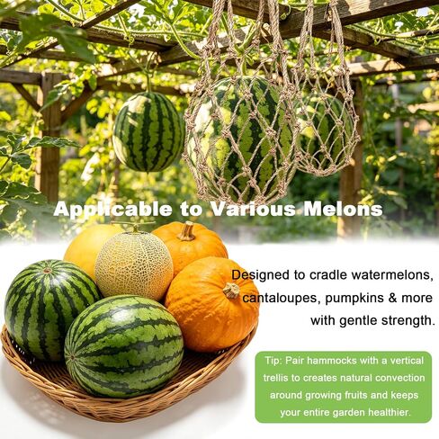 6 Packs Large Jute Melon Hammocks for Trellis with Hanging Hooks(52cm) | Sturdy Watermelon Holder for Garden, Reusable Melon Cradle for Vertical Garden Growing Cantaloupe, Pumpkin, Watermelon in Kuwait