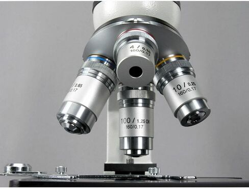 AmScope M600 Compound Monocular Microscope, WF10x Eyepiece, 40x-1000x Magnification, Brightfield, Tungsten Illumination, Abbe Condenser, Mechanical Stage, 110V | 40X-1000X Magnification Range Compound Biological Microscope Mechanical Stage Brightfield Ima in Kuwait