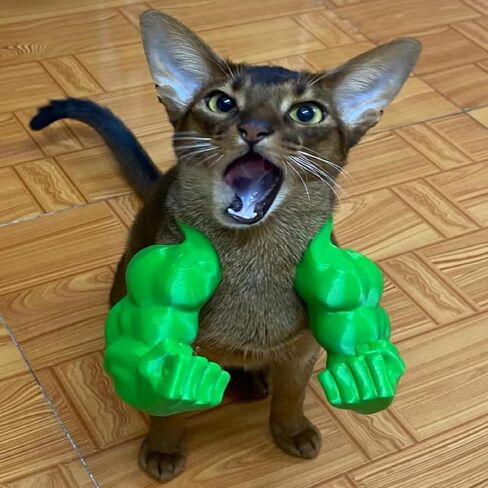 Muscle Arms Pet Costume Photo Prop for Cats and Small Dogs in Kuwait