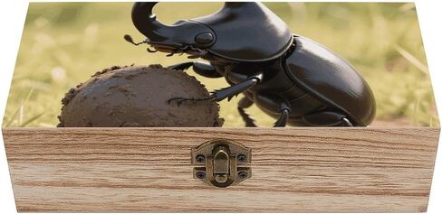 Dung Beetle Ball Wooden Storage Box with Hinged Lid for Photo | Wood Keepsake Box, Dustproof Storage Box, Decorative Treasure Chest, Memory Box for Crafts Coins Stamps Letters Jewelry in Kuwait