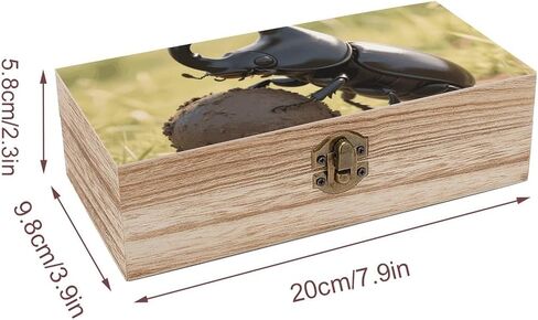 Dung Beetle Ball Wooden Storage Box with Hinged Lid for Photo | Wood Keepsake Box, Dustproof Storage Box, Decorative Treasure Chest, Memory Box for Crafts Coins Stamps Letters Jewelry in Kuwait