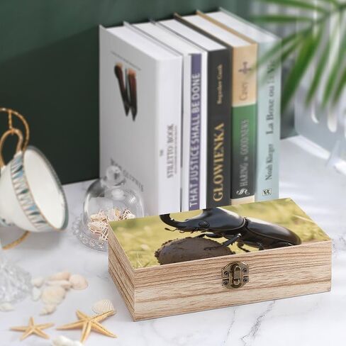 Dung Beetle Ball Wooden Storage Box with Hinged Lid for Photo | Wood Keepsake Box, Dustproof Storage Box, Decorative Treasure Chest, Memory Box for Crafts Coins Stamps Letters Jewelry in Kuwait