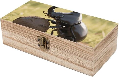 Dung Beetle Ball Wooden Storage Box with Hinged Lid for Photo | Wood Keepsake Box, Dustproof Storage Box, Decorative Treasure Chest, Memory Box for Crafts Coins Stamps Letters Jewelry in Kuwait