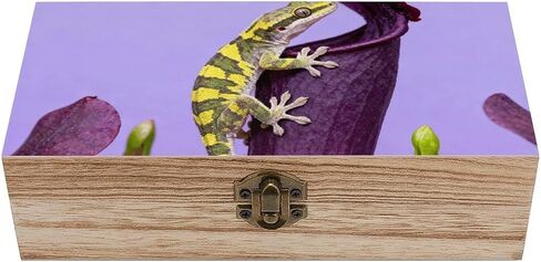 Gecko Venus Flytrap Wooden Storage Box with Hinged Lid for Photo | Wood Keepsake Box, Dustproof Storage Box, Decorative Treasure Chest, Memory Box for Crafts Coins Stamps Letters Jewelry in Kuwait