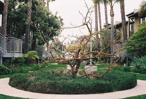 Fujifilm Fujicolor 200 ISO 35mm Color Negative Film 36 Exposures (2 Single Rolls) in Kuwait