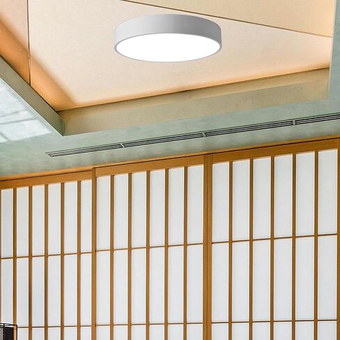 Angoily Acrylic Ceiling Light Diffuser Cover White Plastic Lamp Shade Replacement Disc for Modern Bedrooms and Business Environments with Soft Light and Glare Reducing Features in Kuwait
