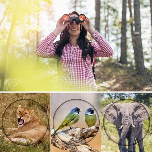 High Power 80x80 Hd Binoculars Long Range 15000m - Low Light Night Vision Optical Glass Lens Telescope，Suitable for Outdoor/Travel Etc. in Kuwait