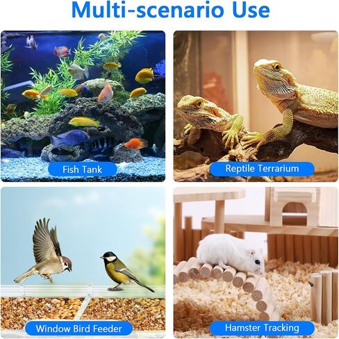 3MP 2K Aquarium & Terrarium Pet Camera with Light for Fish or Reptile Pet | Wide-angle Fisheye Close-focus Lens, With Lighting Function in Kuwait