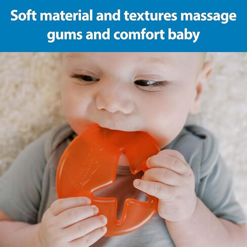 Dr. Brown's Aqua Cool Water-Filled Baby Teether, 2-Pack - Pasta/Tomato, 3m+ | Cooling Teether Toy for Babies, Soothes Sore Gums, Fun Pasta and Tomato Shapes, BPA-Free in Kuwait