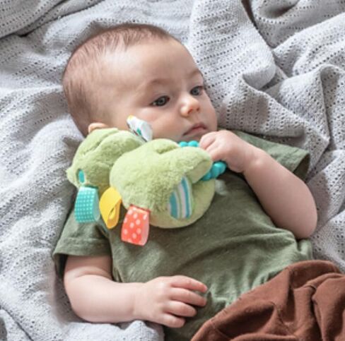Taggies Soft Baby Rattle with Soothing Teether Ring and Sensory Tags, 6-Inches, Green Peepers Frog in Kuwait