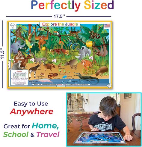 Animals & Nature Placemat 4-Pack, Ocean, Mountains, Savanna, Jungle in Kuwait