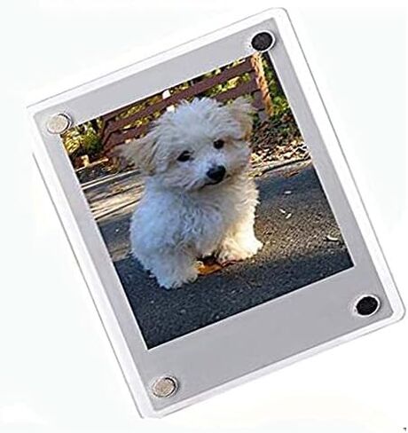 Fujifilm Instax Mini 12 Instant Camera + Pro Design Protective Case & Magnetic Lucite Frames, 20 Sheets (Lilac Purple) in Kuwait