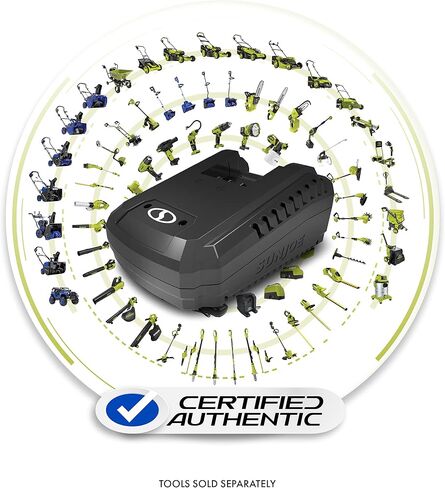Snow Joe IONMAX Dual-Port Quick Charger for 24-Volt Lithium-Ion Batteries, Universal Battery Management System, Compatible with Sun Joe and Auto Joe Devices in Kuwait