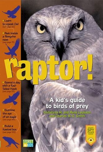 Raptor! A Kid's Guide to Birds of Prey in Kuwait