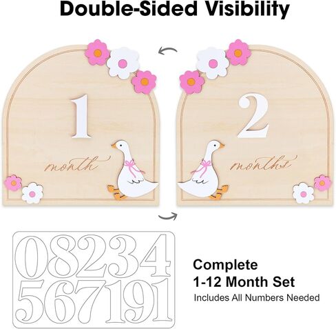 Monthly Milestone Signs for Baby, 1–12 Month Baby Markers, Newborn Photography Accessories, Nursery Decoration (D35) in Kuwait