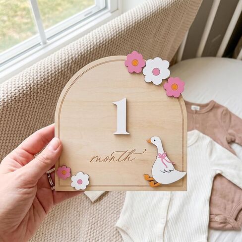 Monthly Milestone Signs for Baby, 1–12 Month Baby Markers, Newborn Photography Accessories, Nursery Decoration (D35) in Kuwait