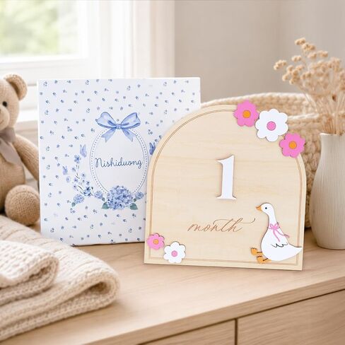 Monthly Milestone Signs for Baby, 1–12 Month Baby Markers, Newborn Photography Accessories, Nursery Decoration (D35) in Kuwait