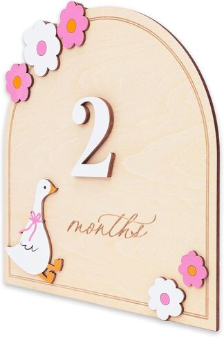 Monthly Milestone Signs for Baby, 1–12 Month Baby Markers, Newborn Photography Accessories, Nursery Decoration (D35) in Kuwait