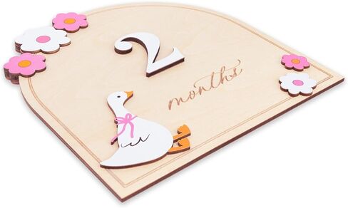 Monthly Milestone Signs for Baby, 1–12 Month Baby Markers, Newborn Photography Accessories, Nursery Decoration (D35) in Kuwait