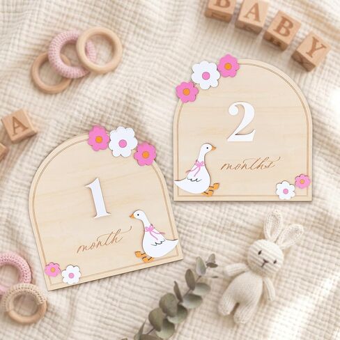 Monthly Milestone Signs for Baby, 1–12 Month Baby Markers, Newborn Photography Accessories, Nursery Decoration (D35) in Kuwait