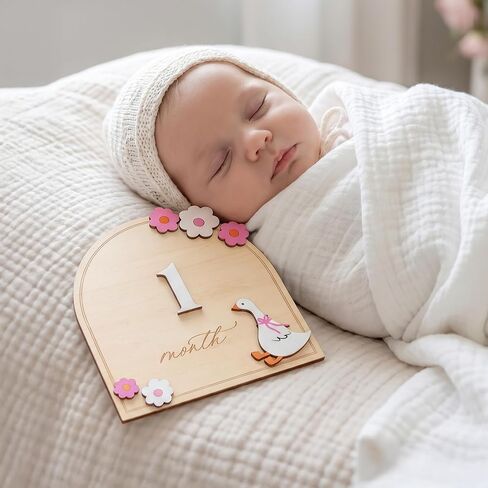Monthly Milestone Signs for Baby, 1–12 Month Baby Markers, Newborn Photography Accessories, Nursery Decoration (D35) in Kuwait