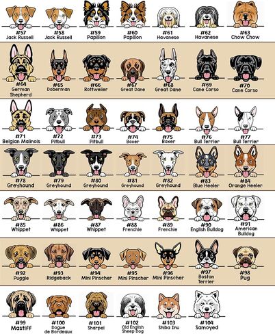 Protected by Dogs and Cats Custom Toddler Tee, Personalized Kids Top, Pet Owner Sibling Gift with Pet's Portrait in Kuwait