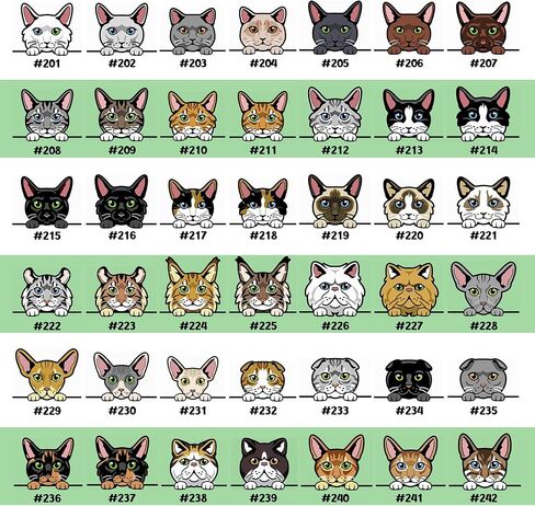 Protected by Dogs and Cats Custom Toddler Tee, Personalized Kids Top, Pet Owner Sibling Gift with Pet's Portrait in Kuwait
